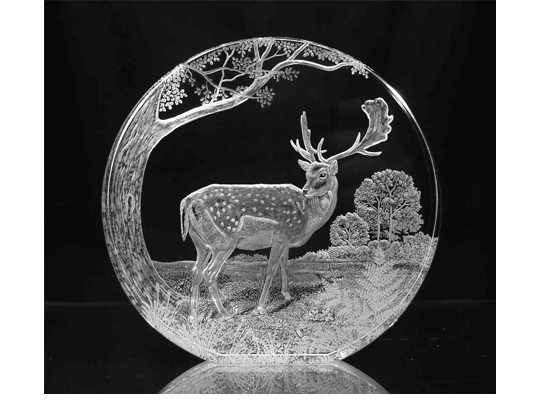 Co2 laser machine engraving glass