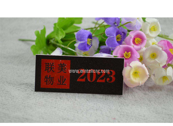 Co2 Laser Engraving Cutting Machine on Double Color Plate
